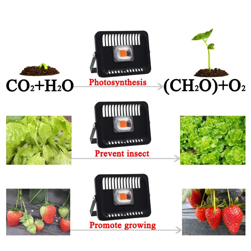 Full Spectrum Led Grow Flood light Outdoor IP65 Waterproof High Power 30W 50W 100W 220V For Plant With EU Plug Connector Growth