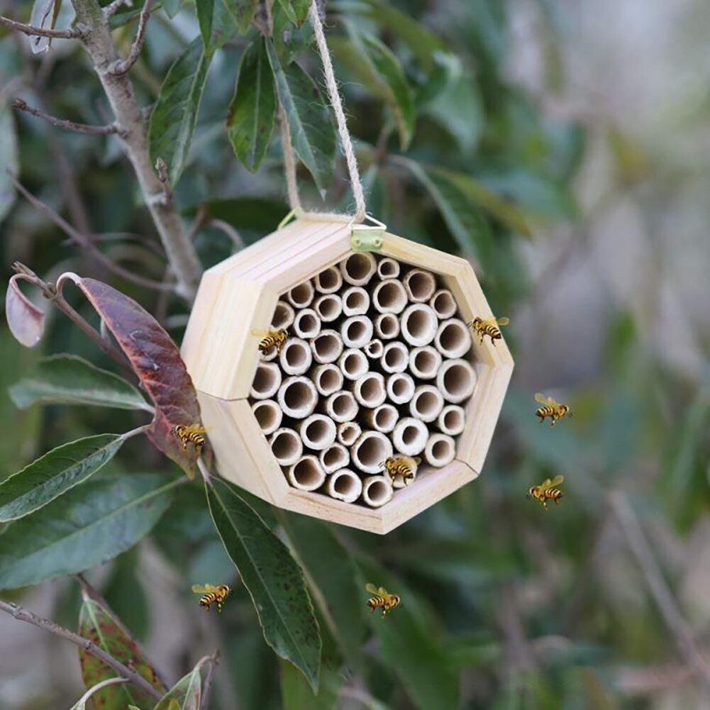 Bamboo Mason Bee Hive House | Natural Bee Hotel For Garden | Attracts Pollinators For Better Blooms