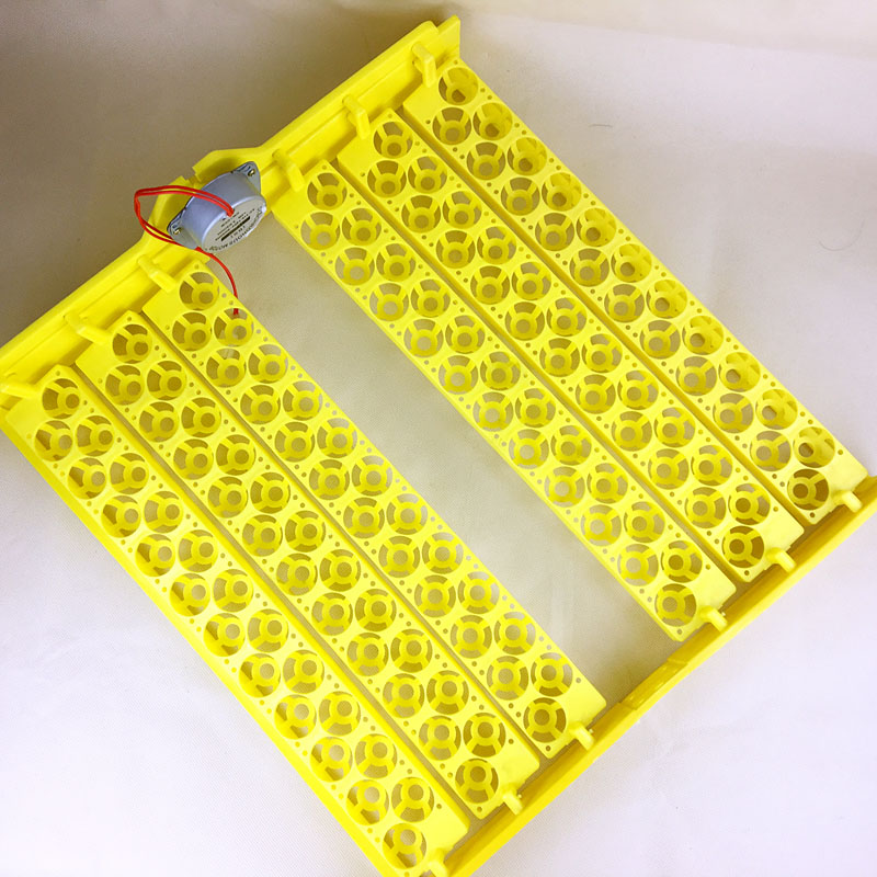 Plateau d'incubation pour œufs de perroquet | 2 pièces 1 Lot, outils d'incubation, couveuse, plateau entièrement automatique pour caille d'oiseau, perroquet œufs 22 trous, 132 154 plateau pour œufs