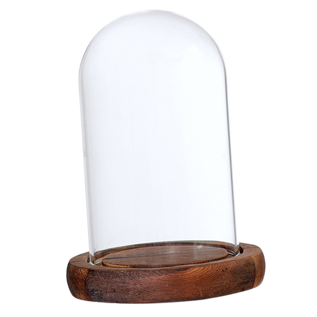Træbund glas cloche kuppel dæksel display centerpiece bordplade dekoration glas kuppel med base