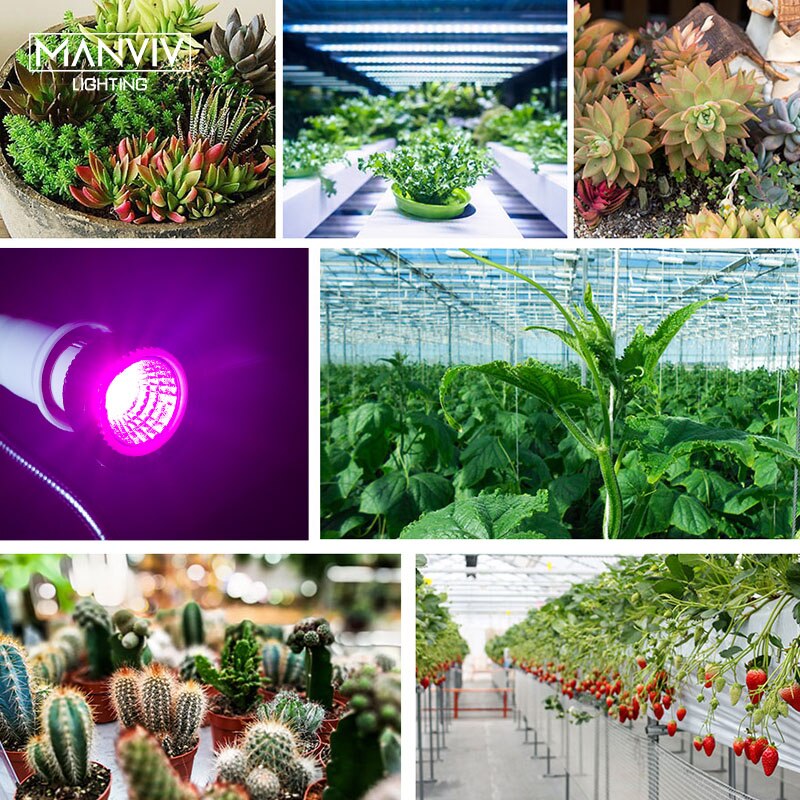 LED	Grow Bulb Full Spectrum Plant Light E27 E14 220V Grow Tent Greenhouse Culture Indoor Growing Phytolamp For Plants Growbox