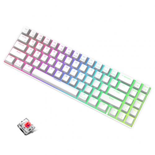 RK71 Wireless Bluetooth 71 Keys RGB Backlight Gaming Mechanical Keyboard for PC: J