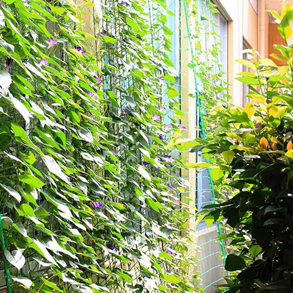 Support en Nylon pour treillis végétal | Pour plantes grimpantes, vigne végétine, fournitures de plantes de jardin et de légumes