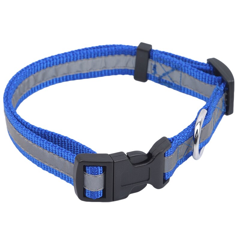 Nylon hondenhalsband voor 's nachts, knipperend, lichtgevende hondenriem voor honden, lichtgevende fluorescerende halsbanden voor huisdieren, huisdierbenodigdheden: Blauw 2cm