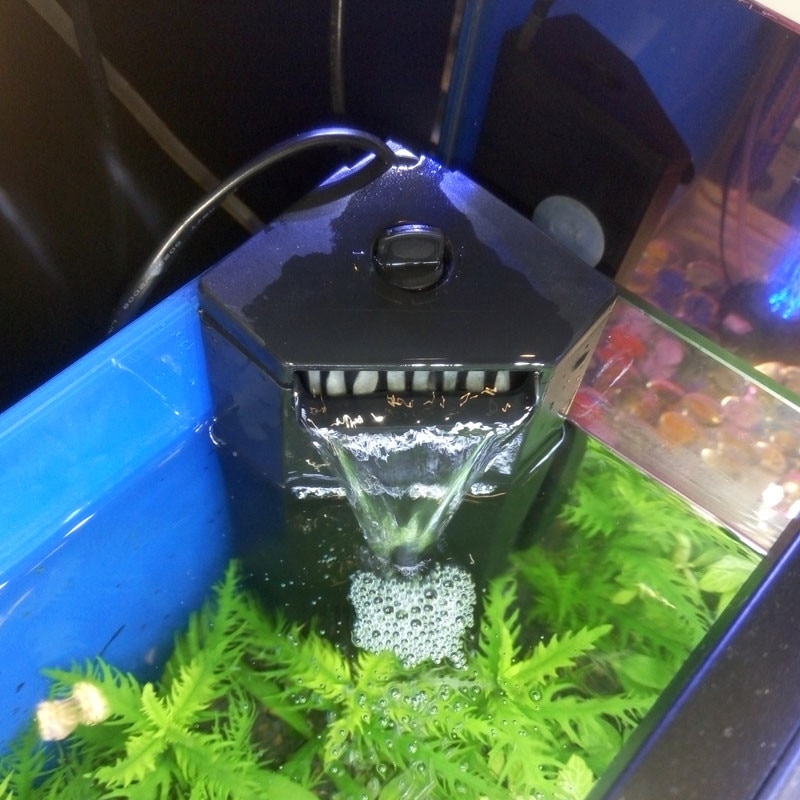 1 stykke internt filter til skildpaddebeholder lavt vandstand dæmpningsfilter til akvarie udskiftningsfiltersvamp