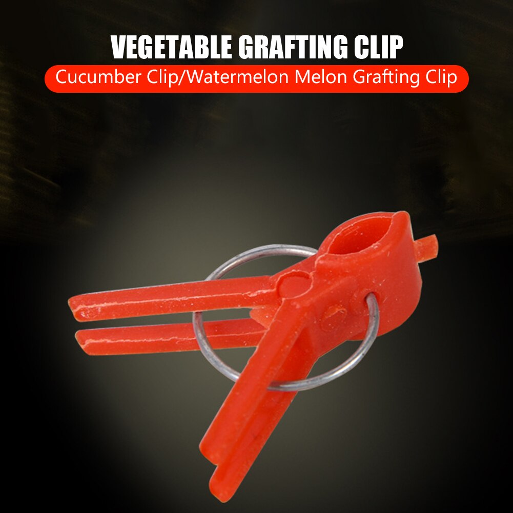 50pcs Plastic Grafting Graft Clips Garden Plant Support for Vegetable Flower Tomato Stalks Fix Grow Upright Grafting Tool Garden