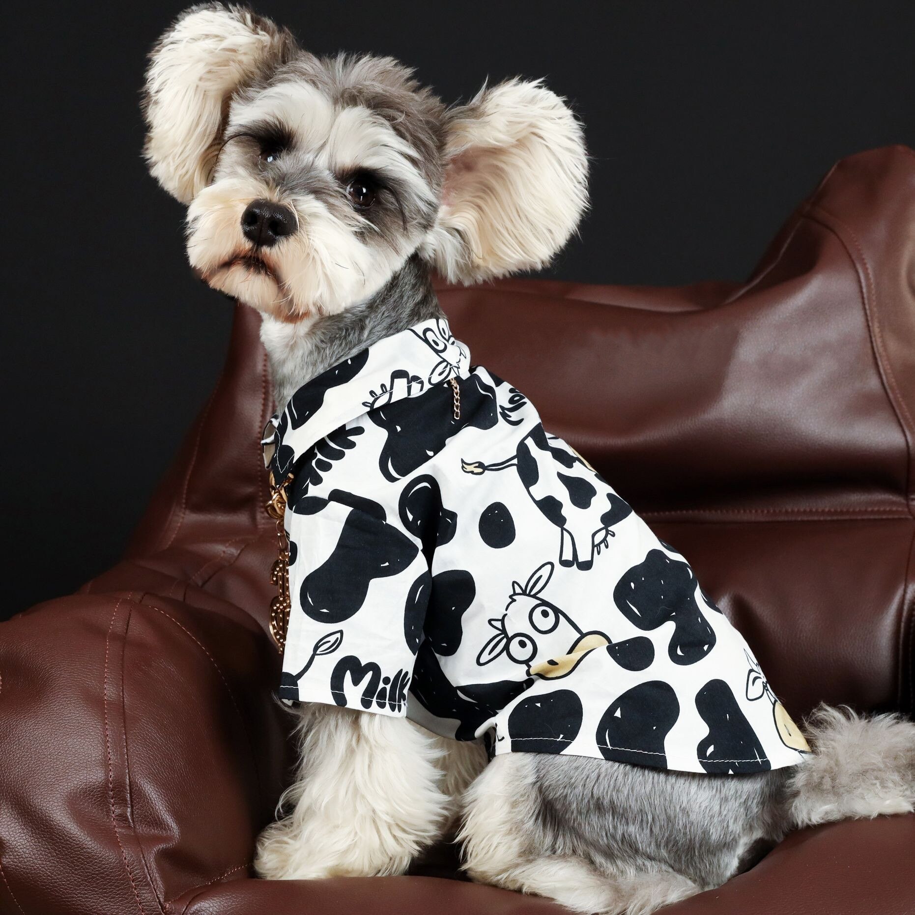 Medical Pet Shirt | Hond | Bestellen Medical Pet Shirt | Hond | Bestellen