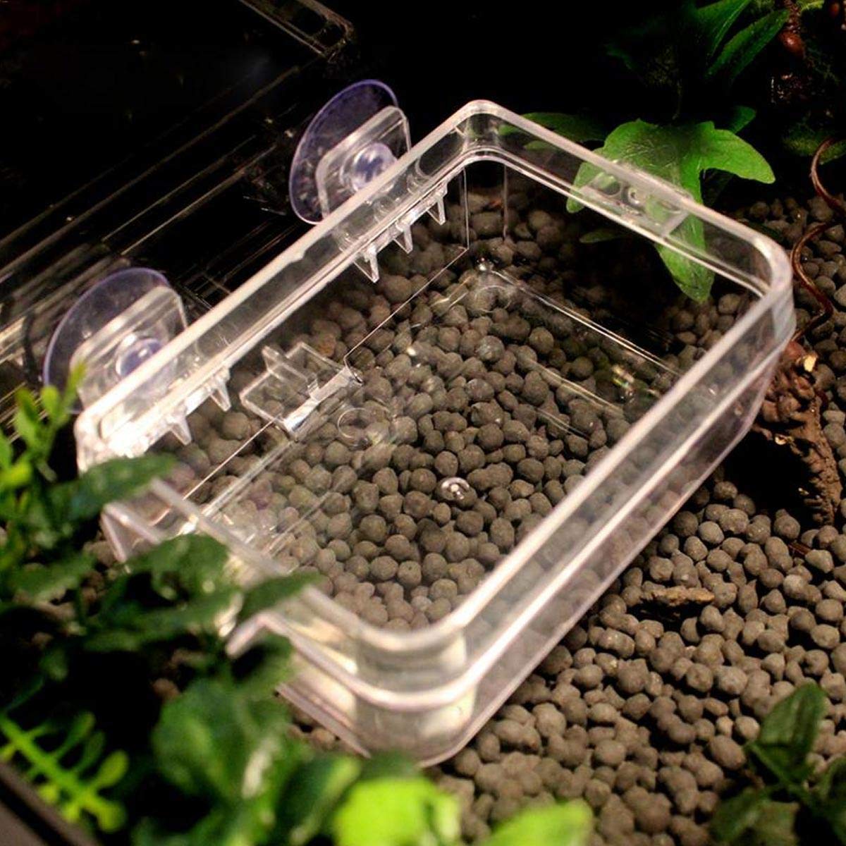 Comedero de reptiles cuenco de comida Anti-Escape con ventosa para tortuga Gecko culebras camaleón Iguana lagartija Accesorios