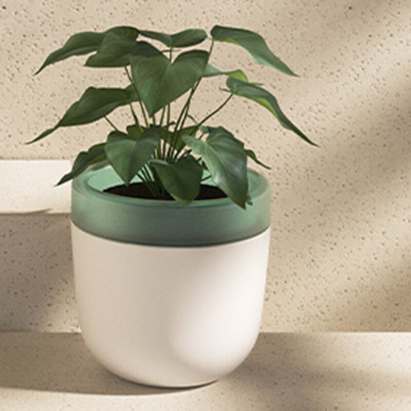 Water-Free Water-Storing Flower Pots, Automatic Watering and Water-Absorbing Succulent Flower Pots: Default Title