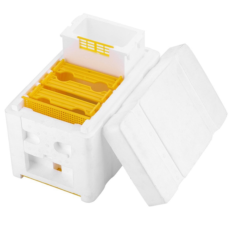 Nueva caja de cría de apicultura Queen, suministros de apicultura, equipo de espuma de colmena para la cosecha de abejas
