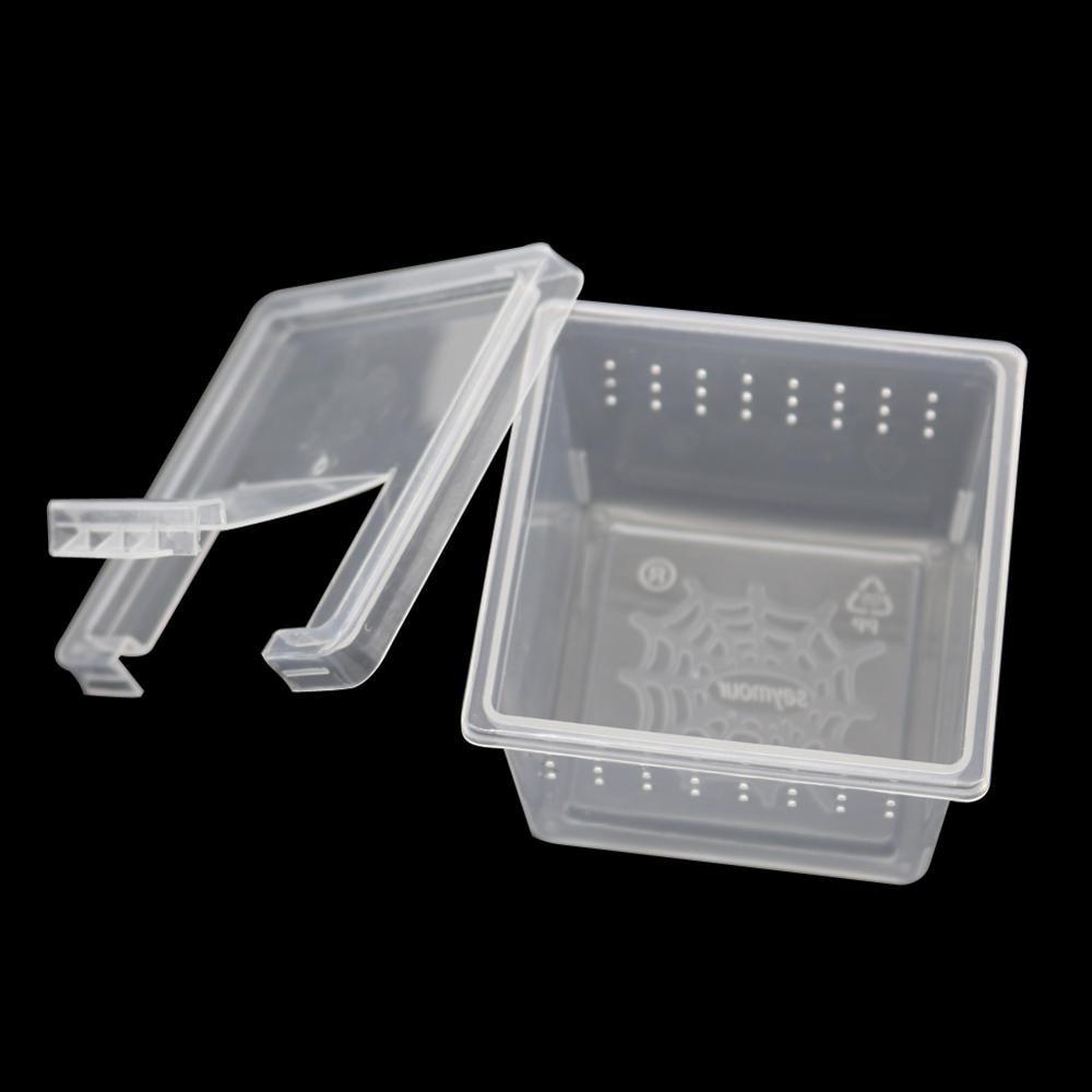 Caja de plástico transparente para criar reptiles, contenedor para cultivar insectos, araña Escorpión, 10 unidades