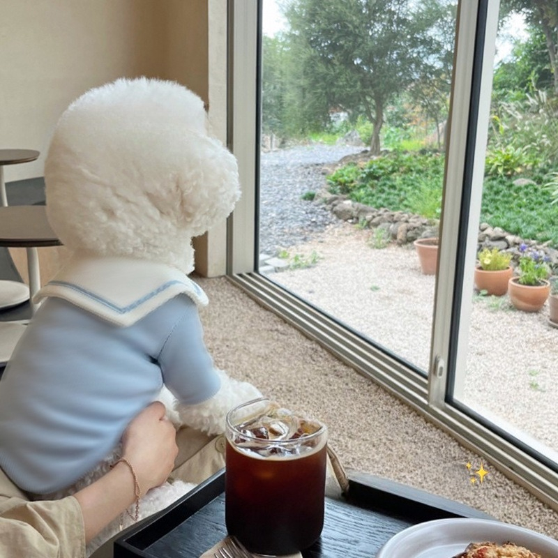 Pet Autumn/Winter Hoodie Undershirts Teddy Yorkshire Small Dog Cat Dog Clothes for Small Dogs Puppy Clothes