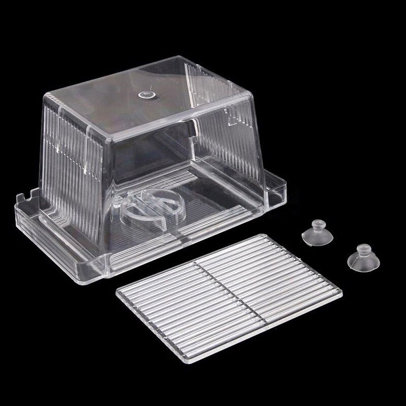 Joli Aquarium à la , réservoir de poissons Guppy, Double élevage, piège, boîte d'élevage, couveuse DNJ998: Default Title