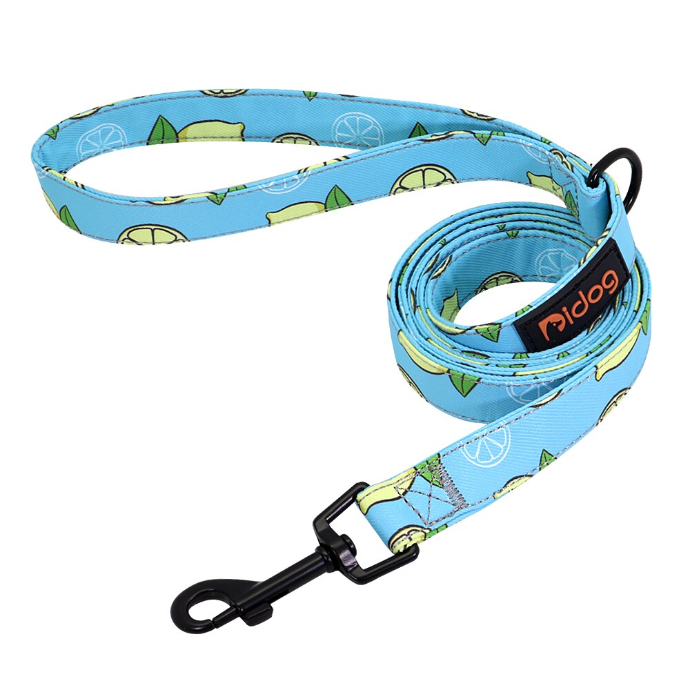 Laisse en Nylon pour chien, 150cm, imprimé coloré, corde de plomb, ceinture pour animaux domestiques, entraînement à la marche, carlin, bouledogue français: 102 BLUE