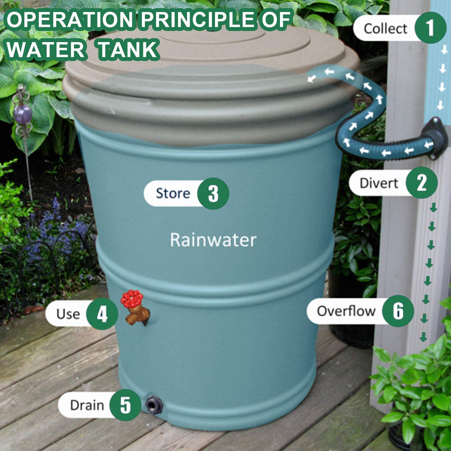 SCB PVC 40MM Threaded Bulkhead Fittings for Plastic Rain Barrels, Aquariums, Ponds or Water Tanks (1.25 Inches)