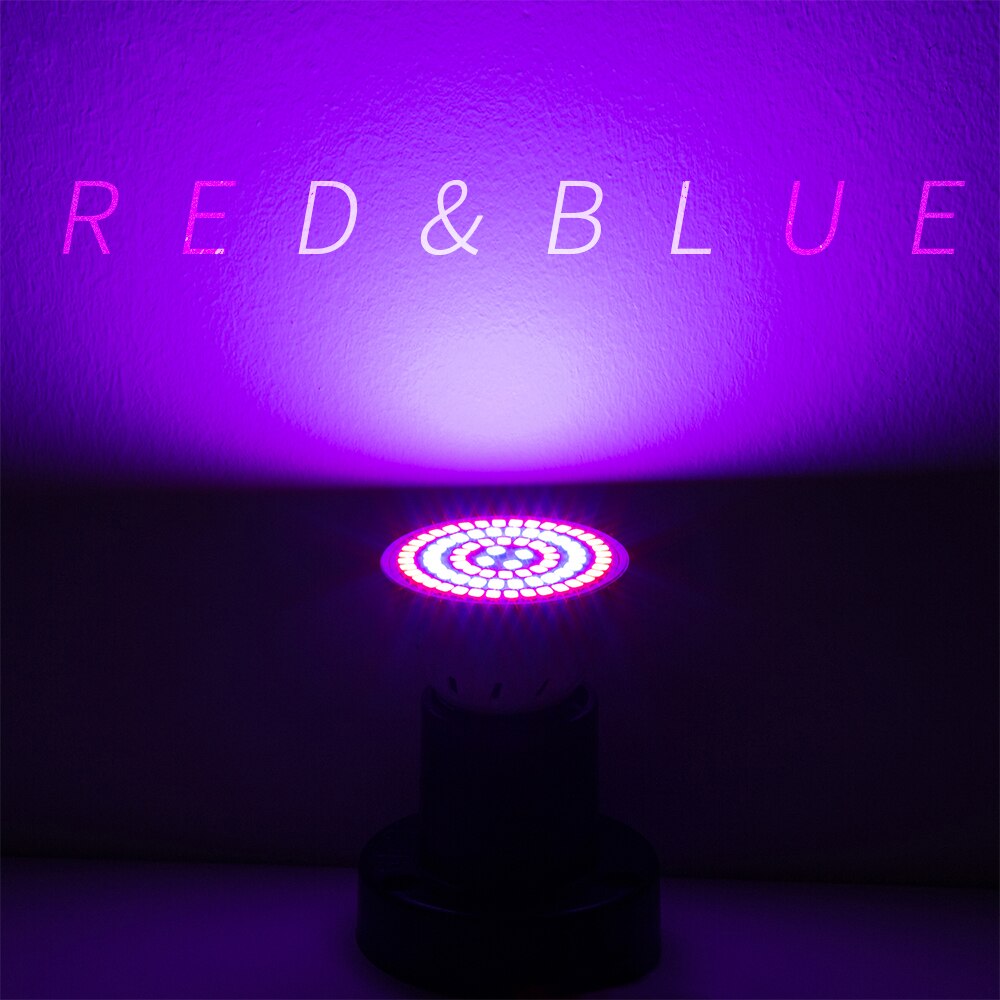 Groei Indoor Lamp E14 Led Grow Lamp E27 Plant Licht 48 60 80 Leds GU10 Volledige Spectrum Verlichting MR16 220V Led Phyto Lamp B22 240V