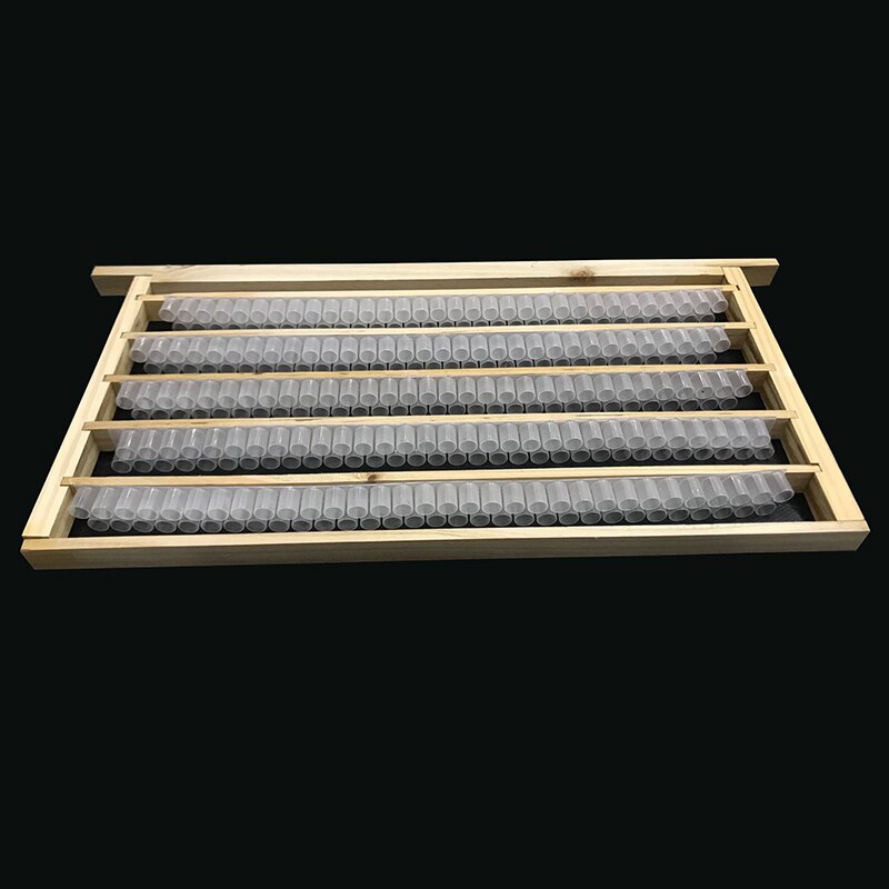 5pcs Royal jelly frame rearing queen bee cultivation Installation of double row royal jelly storage strip beekeeping tools