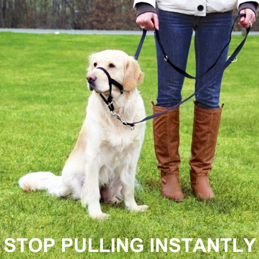 Stop Chew Leash Training Verstelbare Lus Mond Cover Anti Bijten Outdoor Wandelen Duurzaam Dierbenodigdheden Nylon Grooming Hond Snuit