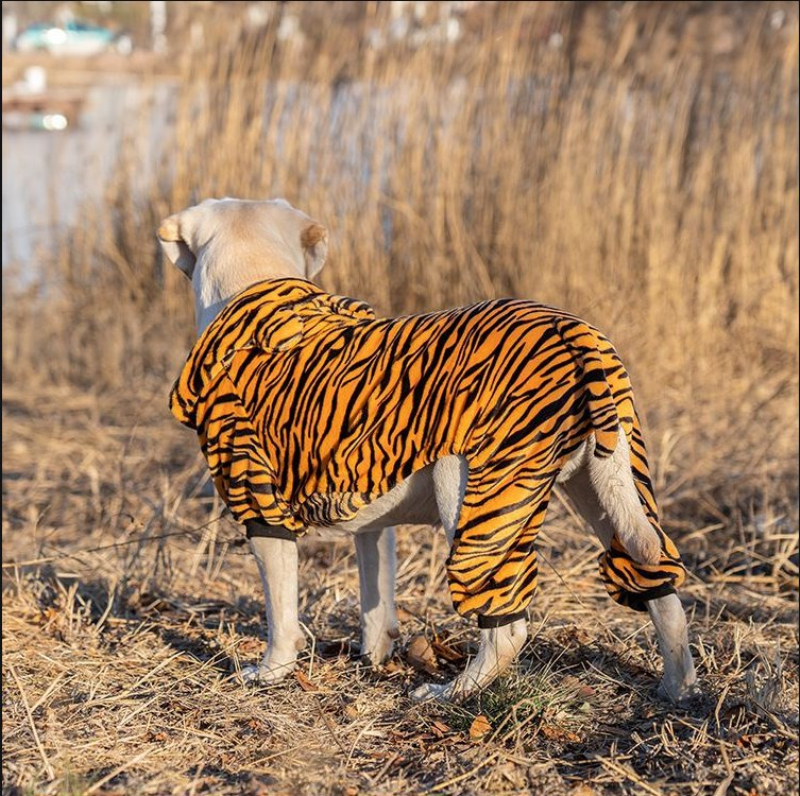 Vêtements pour grands chiens 9XL | Grand chien, Costume de tigre Cosplay, chien amusant, Costume Shiba Inu Samoyed Husky Golden Retriever, vêtements pour animaux de compagnie