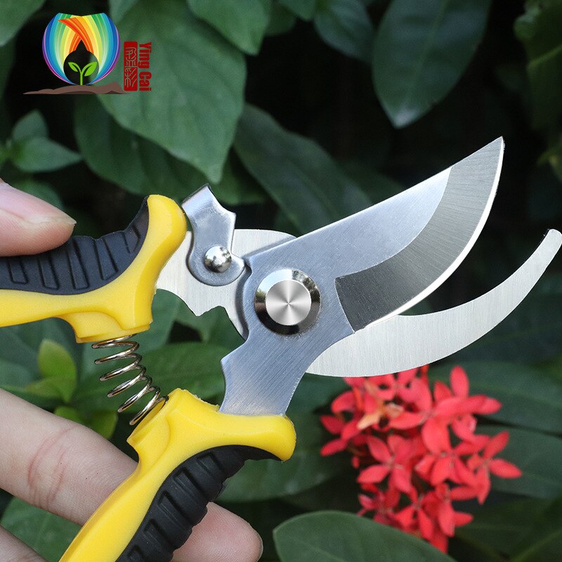 SK5 – ciseaux de jardinage spéciaux en acier de , ciseaux de taille multifonctions, coupe de branches de fruits, outils pour arbres fruitiers