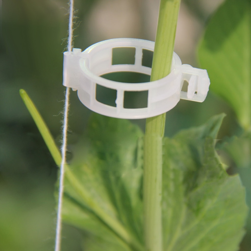 100Pcs Plastic Plant Clips, Tomato Stem Clips For Garden Gardening Tool