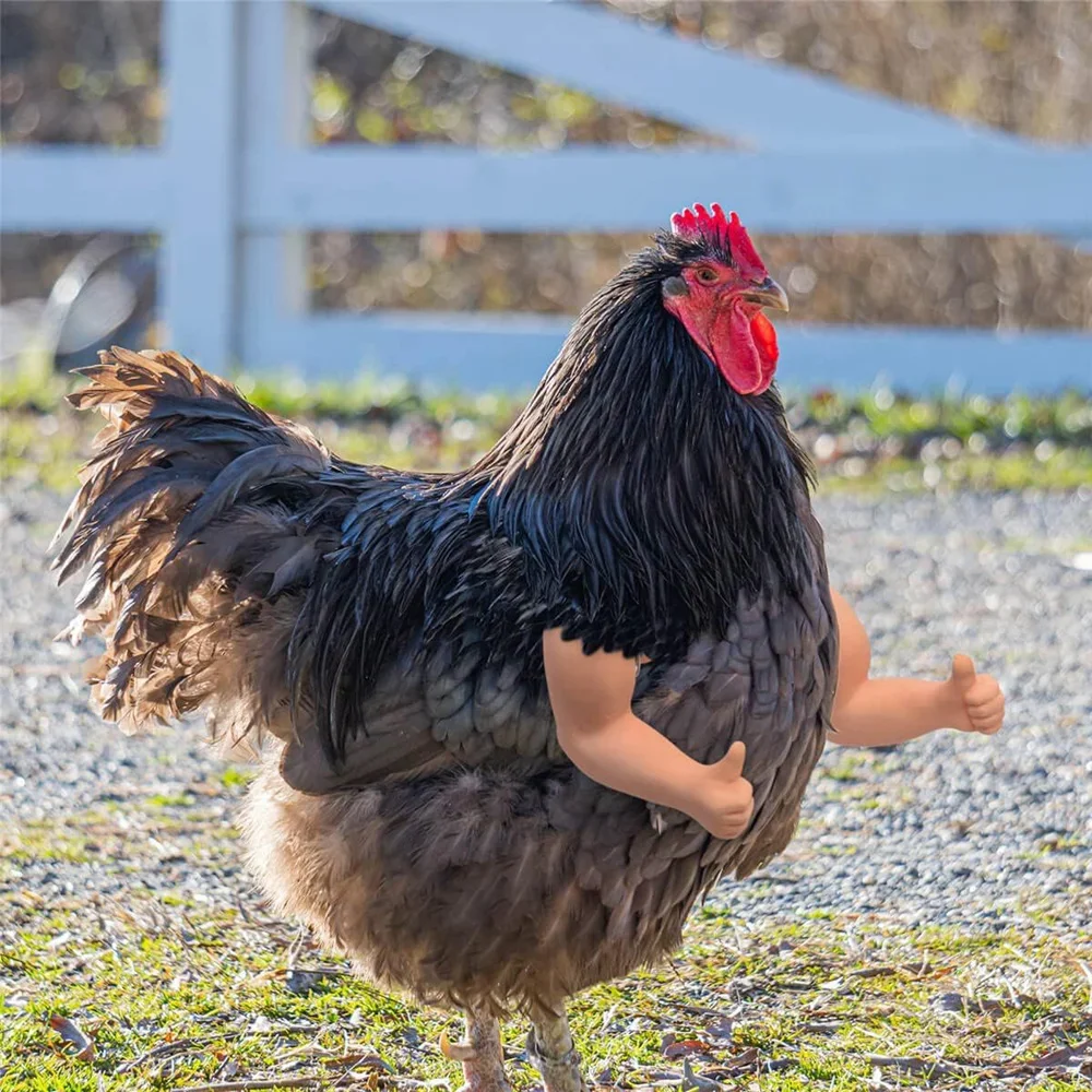 Bras de Musculation Artificiel Jetable pour Pigeon Poule, Jouets de ixà Thème pour Animaux de Compagnie, Accessoires de Gastronomie Amusants