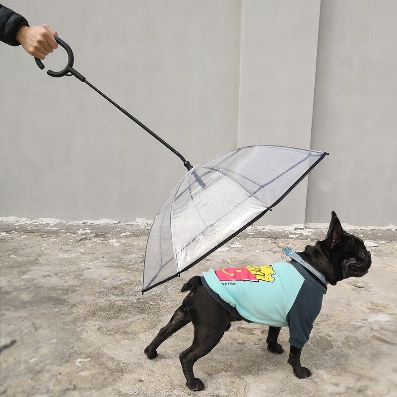 Parapluie pour animaux de compagnie Transparent chien c-type parapluie fournitures pour animaux de compagnie réglable pluie jour Hyena Traction corde parapluie inverse