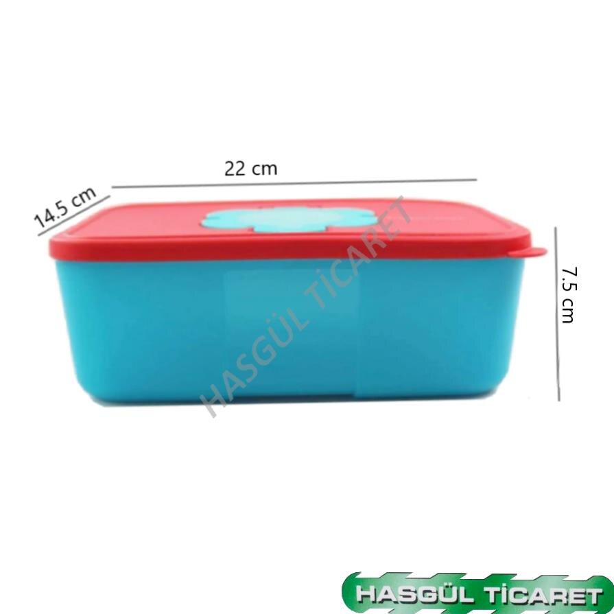 Tupperware lingettes boîte grande lingettes humides boîte HSGL