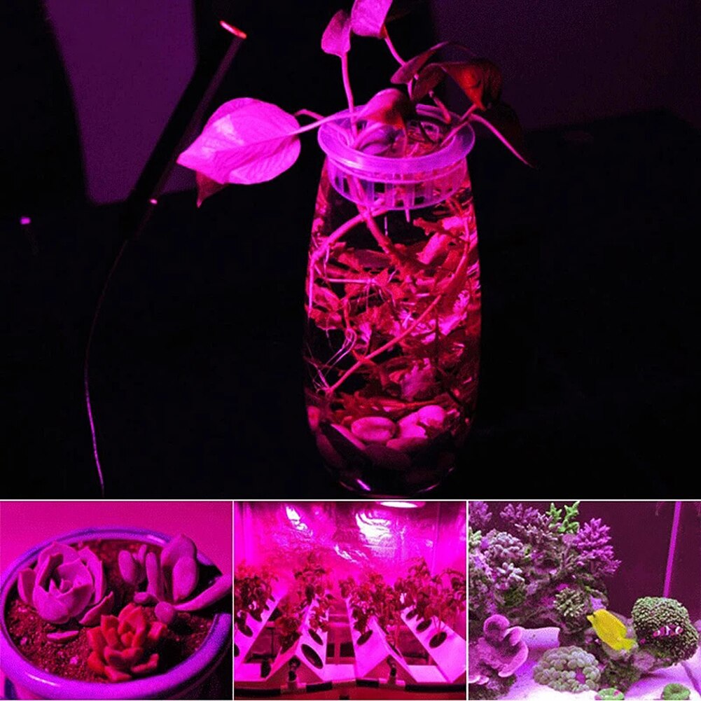 Seedling Grow Lamp Growth LED For Indoor Ccessories Flower Full Spectrum COB Smart 1PC Light Plant DIY Chip Phyto Lamp