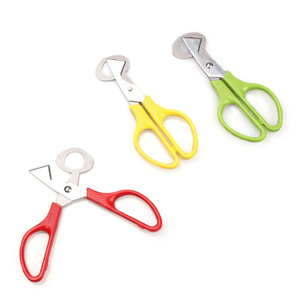 Pigeon Bird Cutter Opener Tool Clipper Quail Scissor