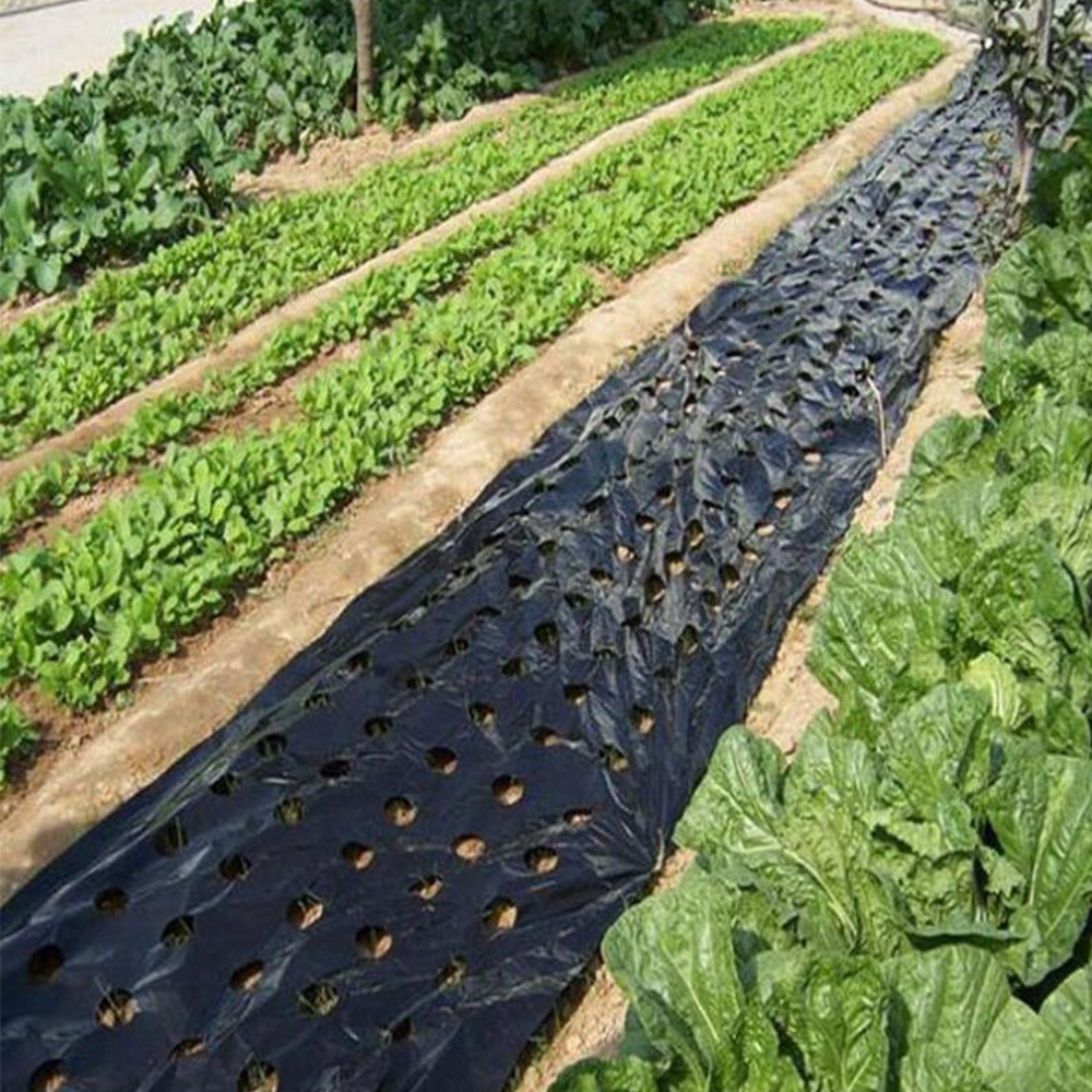 5 huller 95cm*50m 0.02mm sort havegrøntsagsmembran landbrugsplanter, der klipper såning af plast, perforeret pe-film
