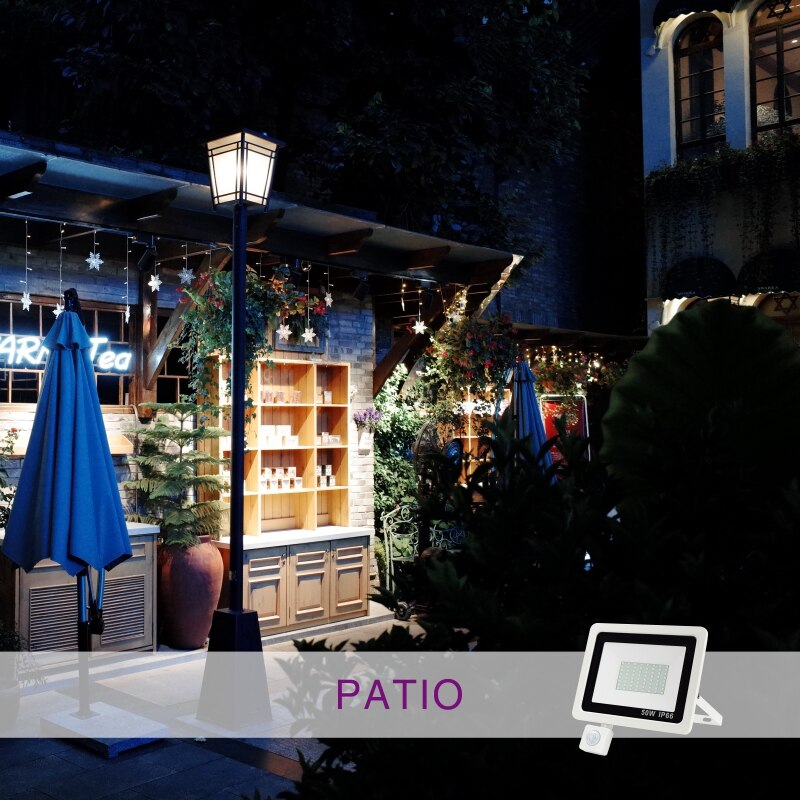 LED PIR Motion Sensor Floodlight AC220V Cold White Indoor Outdoor Spotlight IP66 Waterproof Courtyard Footpath Sensing Lighting