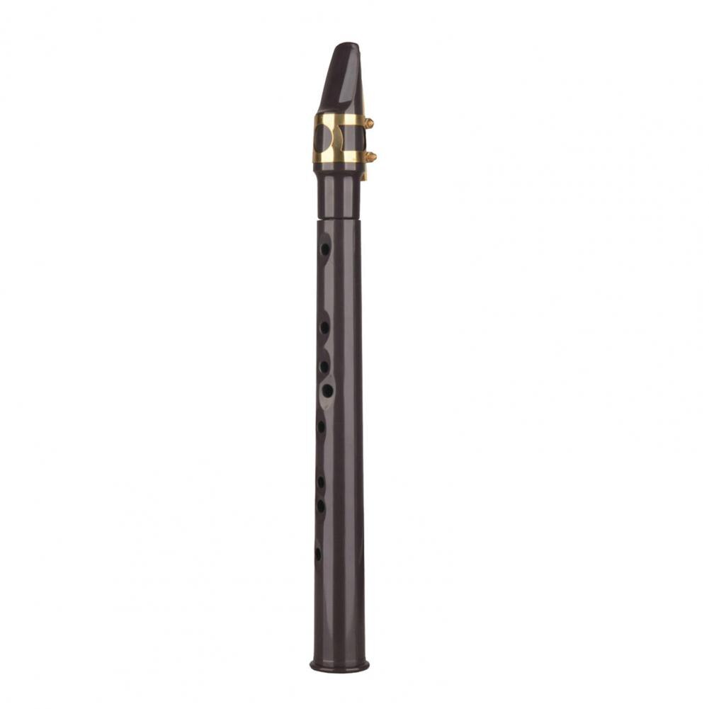 Saxofón de bolsillo portátil de plástico para entrenamiento, instrumento de saxo con lengüetas, bolsa de transporte, pastas de diente para principiantes: Dark Gray
