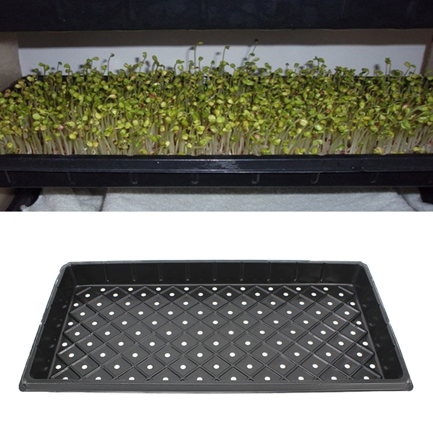 Behogar 2 st 54 x 28 x 5cm återanvändbara plantfröstarter odlingsbrickor extra för trädgårdsväxthus suckulenta vetegräs mikrogröt