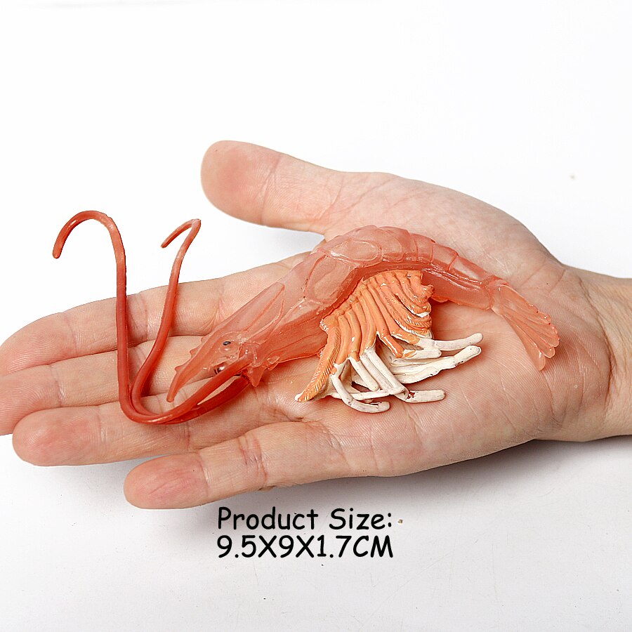 Realistic Sea Animals Figurines Orca Squid Sharks Dolphin Turtle Sailfish Octopus Figures Miniature Education Toys for Kids