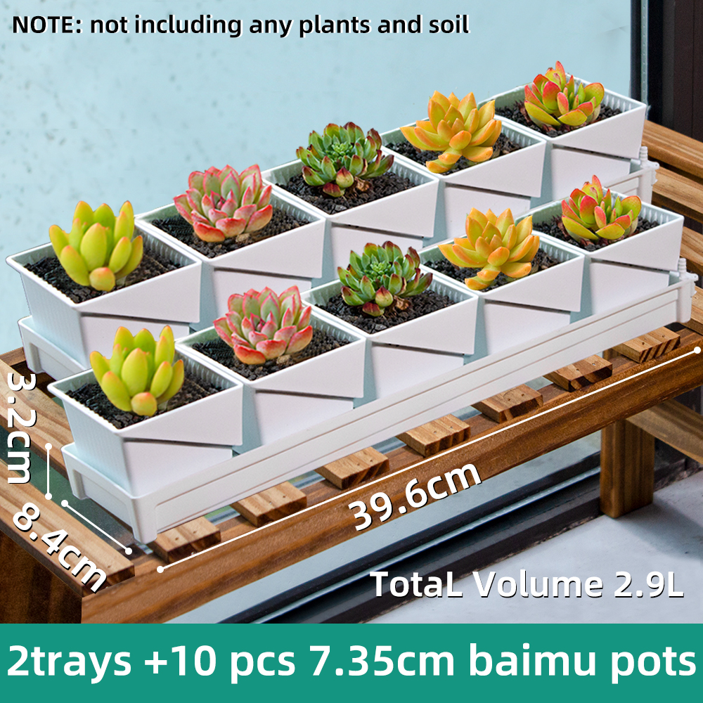 Multisize Meshpot Flower Pots Succulent Cactus Plants Nursery Pots Plant Pot with holes Garden Accessories for Home Decoration: MULTI