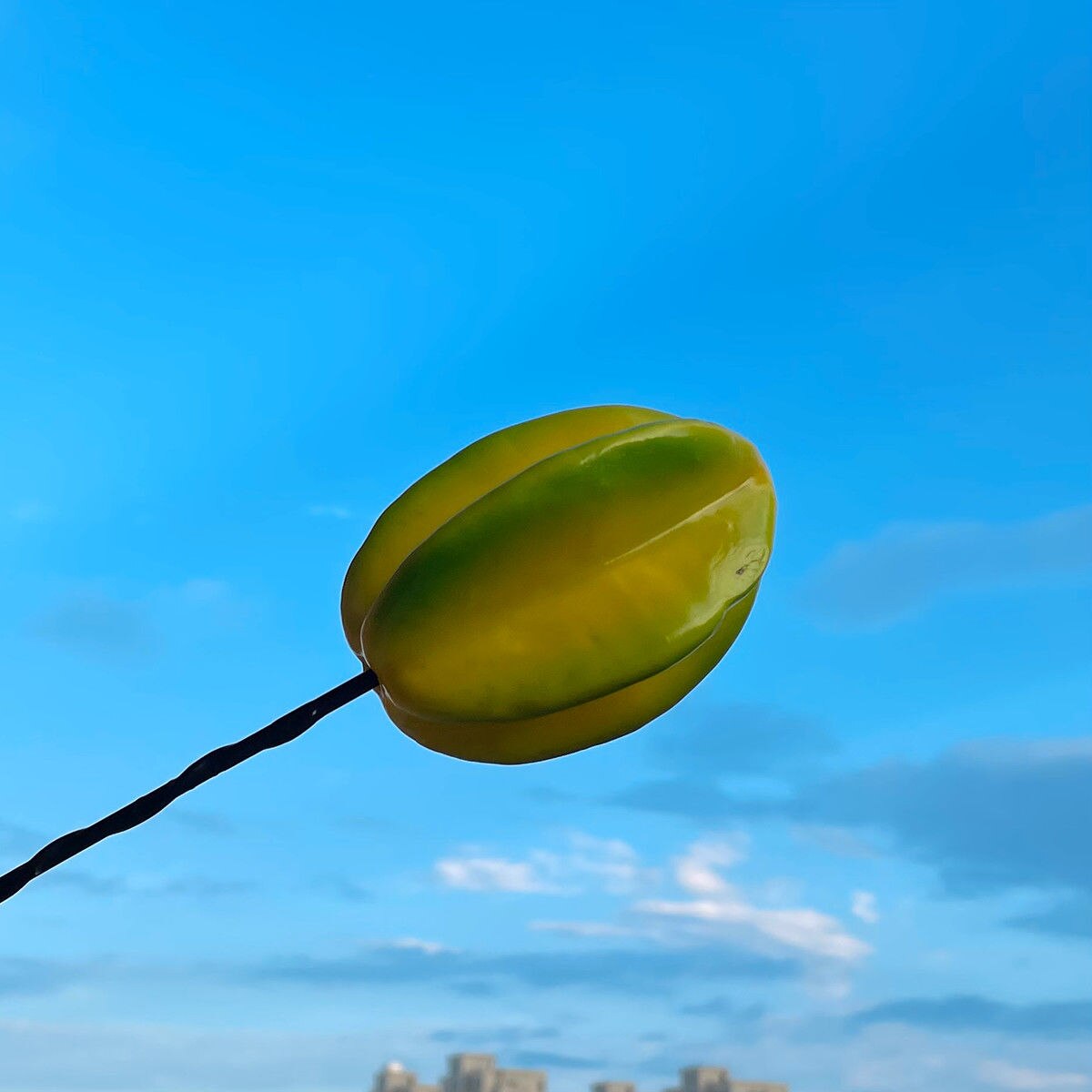 Mini Auto Antenne Decoratie Exterieur Decoratie Antenne Leuke Cartoon Voedsel Pop Cactus Dak Modificatie: NO. 5