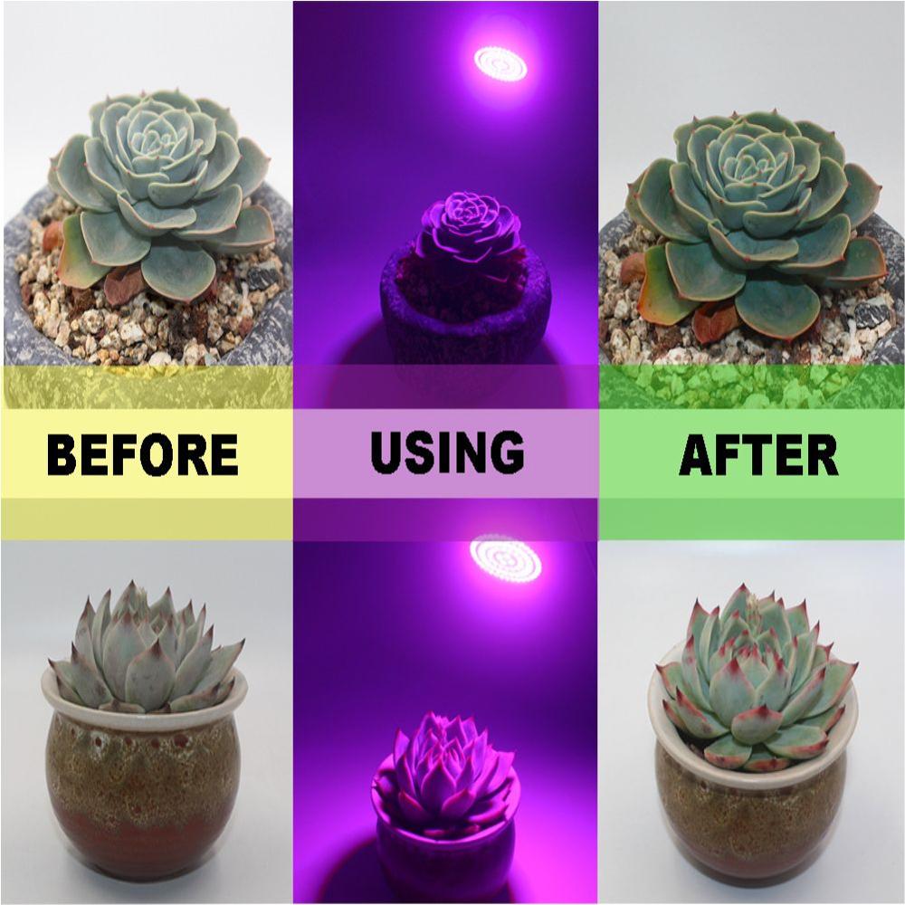 4PC traîneau plante ampoule semis légume plante croissance lampe hydroponique spectre complet lampe UV