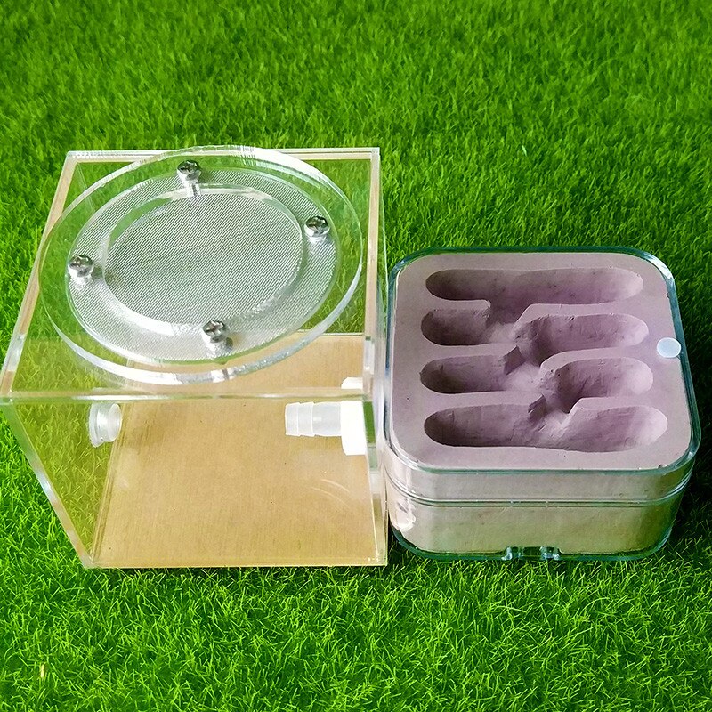 Ant Workshop Ecological acrylic Ant Nest Acrylic Sand Nest Sandcastle Home Living for Ants: type 6
