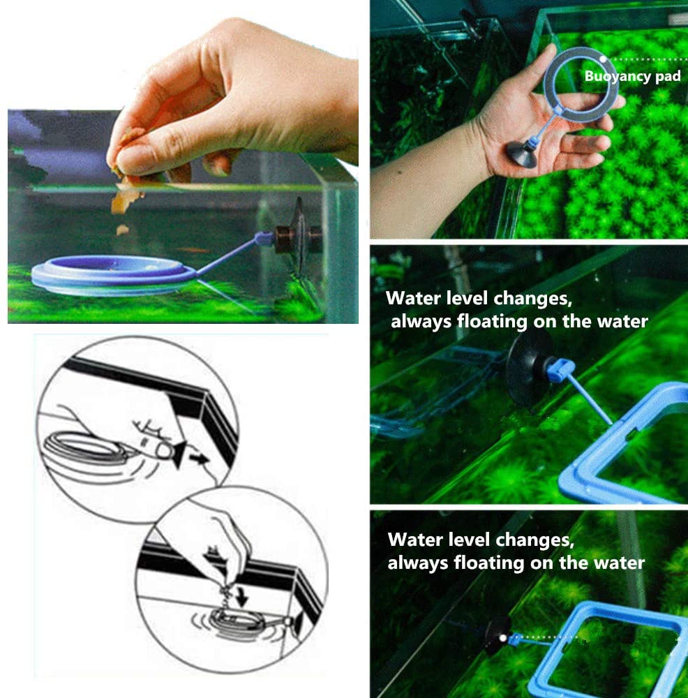 Anillo de alimentación para peces, alimentador de comida flotante seguro para peces, circular azul con ventosa, fácil de instalar, Forma cuadrada y redonda para acuario