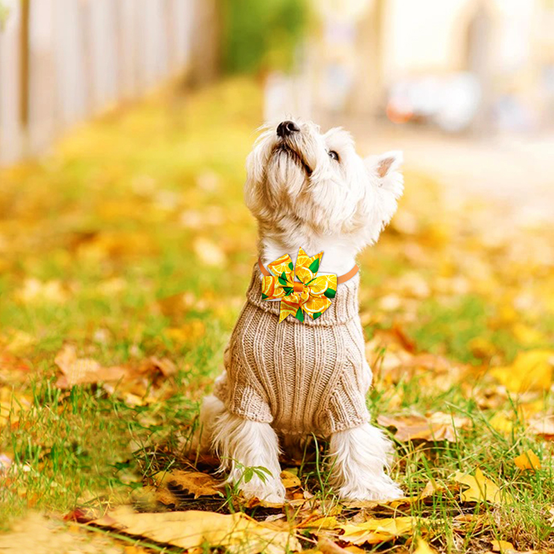 50/100 pezzi proprietà farfallino per cani accessori per cani stile frutta accessori per animali domestici cani animali domestici papillon cravatte moda forniture per cani