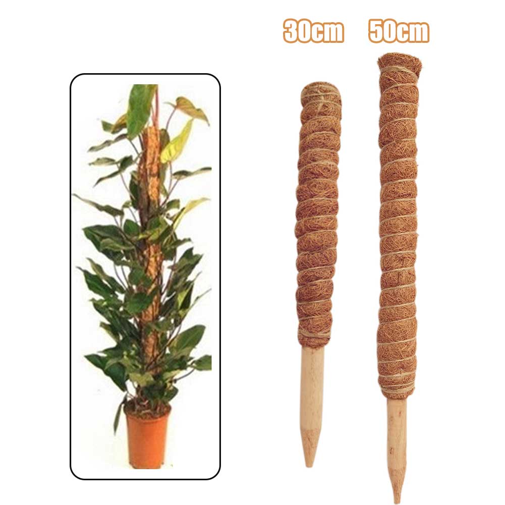 Kokosfiber Stang til Klatreplanter - Indendørs og Udendørs Støtte - 50cm eller 30cm