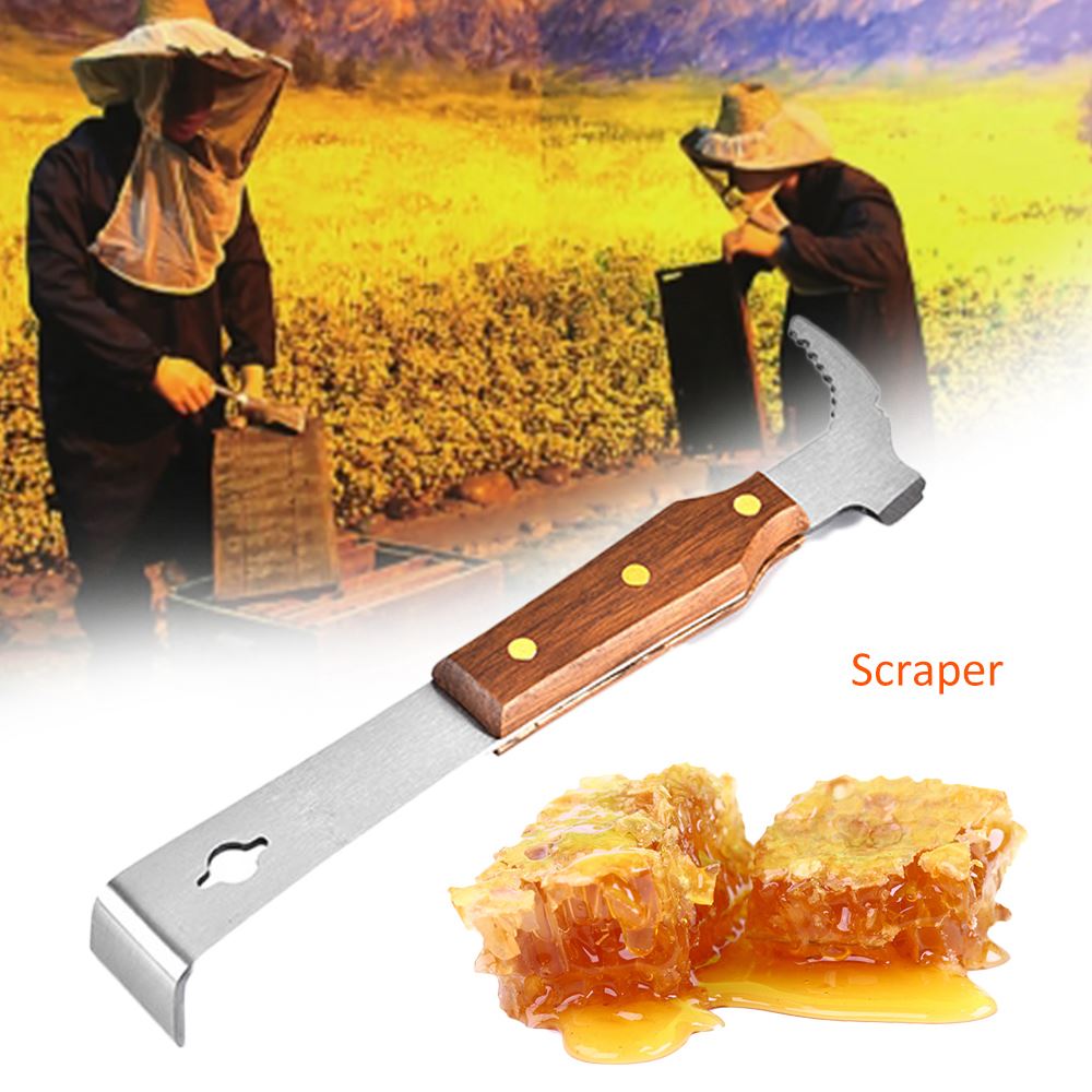 1 piezas estándar espátula de acero inoxidable de polen de abeja pala apiario traje de apicultor apicultura herramientas colmenas equipo