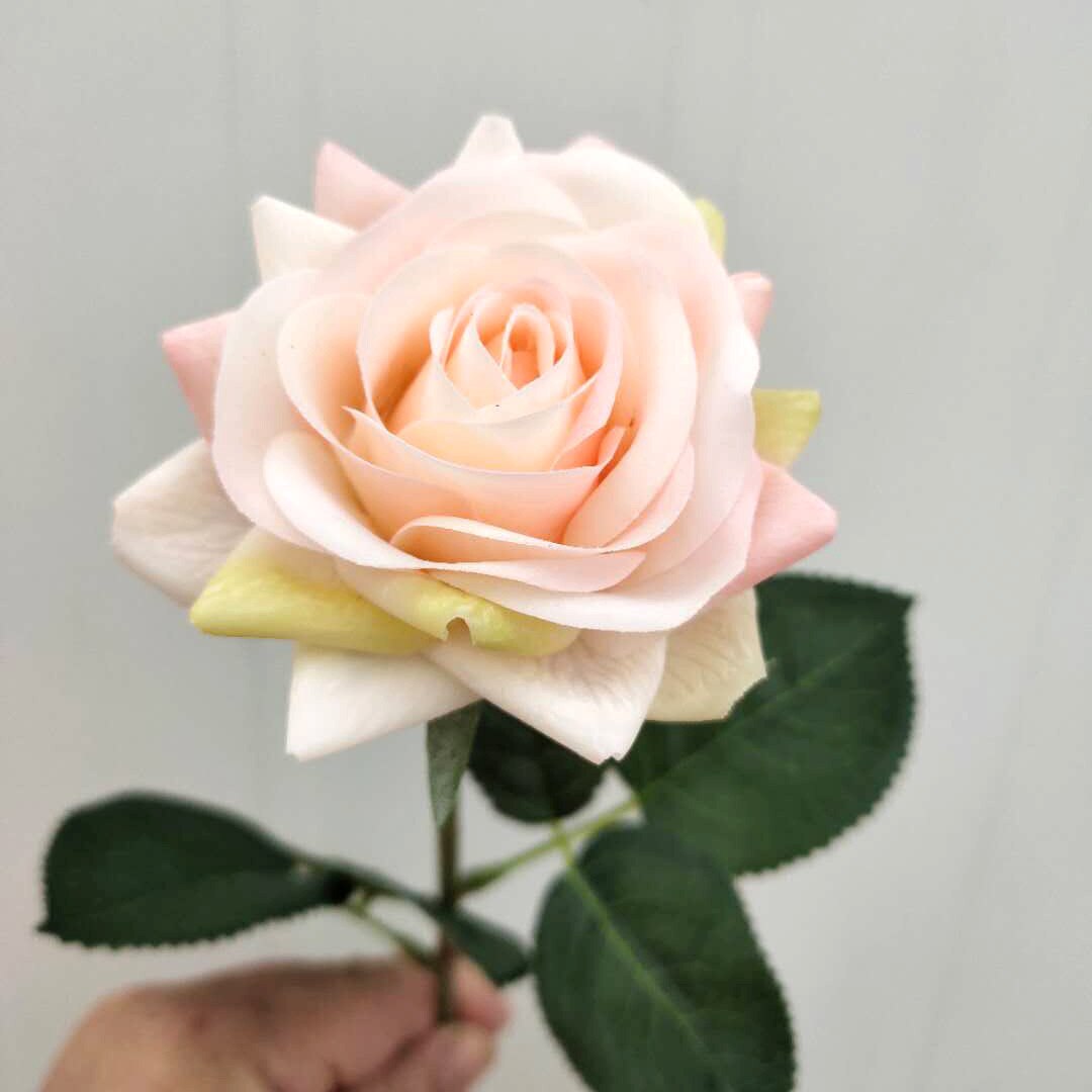 15 Stks/partij Kunstbloemen Decor Rose Latex Bloem Woondecoratie Real Touch Rose Bruiloft Bruidsboeket Bloem: Chamapgne