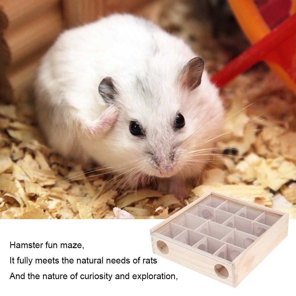Interactive Intelligent Pet Toy Natural Wood Hamster Maze Tunnel Small Pet Interactive Intelligent Toy Labyrinth with Hamster