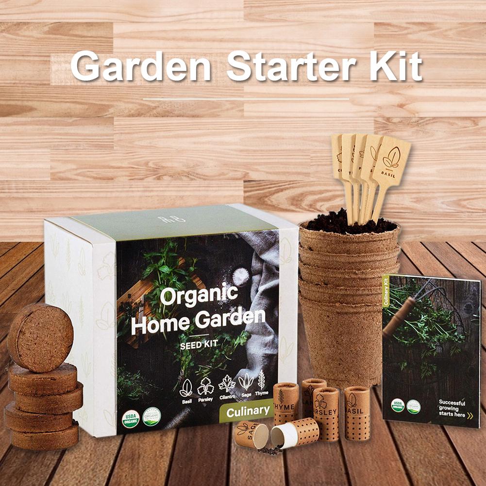 DIY Garden Starter Kit Handmade Durable Grow Set Growing Herbs Indoor Planting For Home Window Sills Apartments