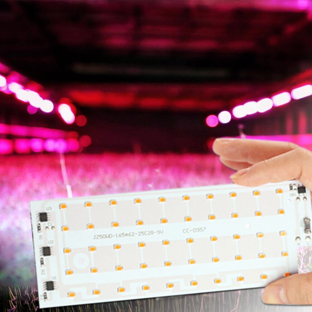 Phytolamp Voor Plant Led Grow Light Volledige Spectrum Chip 50W 220V SMD2835 Indoor Full Range Homw Zaaien Phyto lamp Voor Bloem