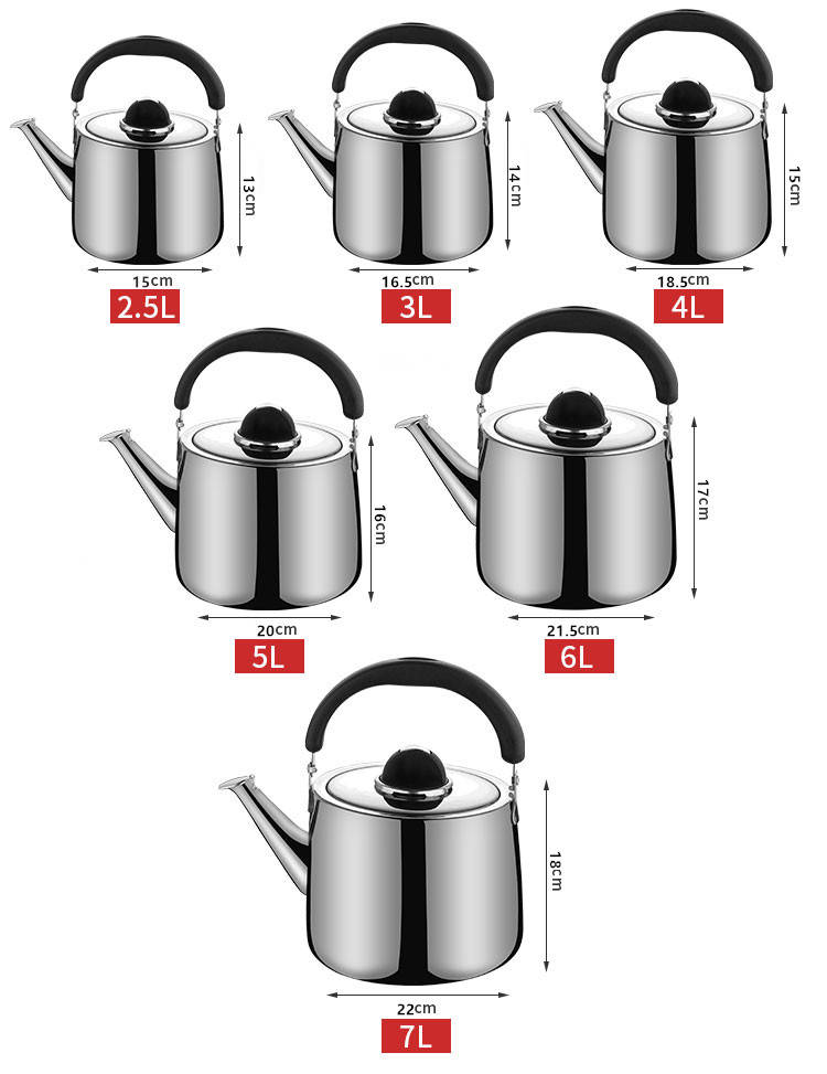 Bouilloire en acier inoxydable bouilloire sifflant – Grandado