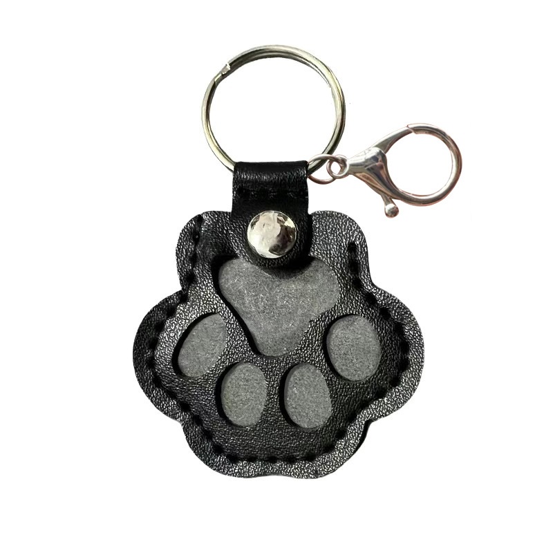 Caja de almacenamiento de pelo de perro, cápsula de recuerdo conmemorativo de pelo de cachorro, contenedor de piel de perro para mascota, llavero de cápsula transparente, recuerdos: Oro