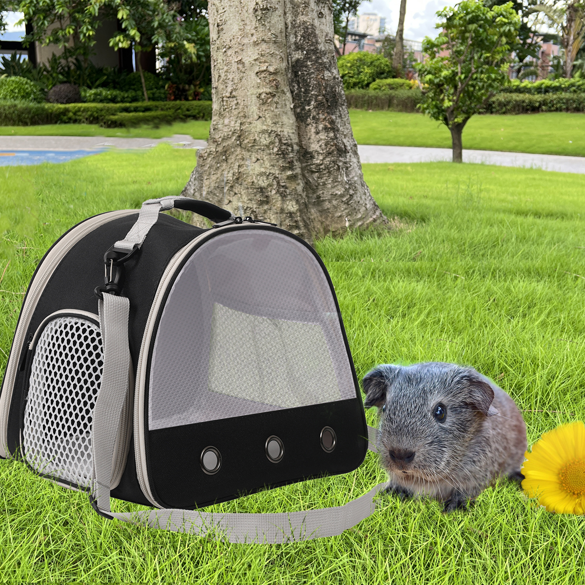 Porte-cochon d'inde Portable clair, Cage de Transport pour Hamster, sac de voyage pour Reptile, petit lapin pour animaux de compagnie, Dragon barbu pour l'extérieur
